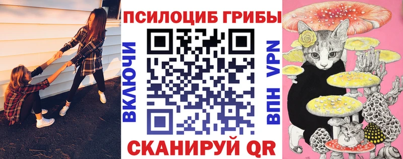 купить наркотики сайты  Приморско-Ахтарск  кракен онион  Галлюциногенные грибы Magic Shrooms 