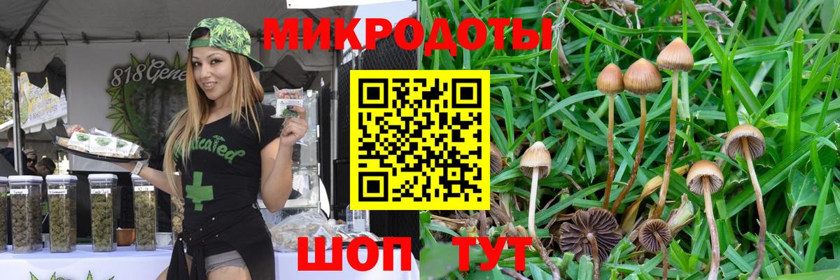 Псилоцибиновые грибы прущие грибы  Вход с VPN  Псилоцибиновые грибы прущие грибы  Приморско-Ахтарск 
